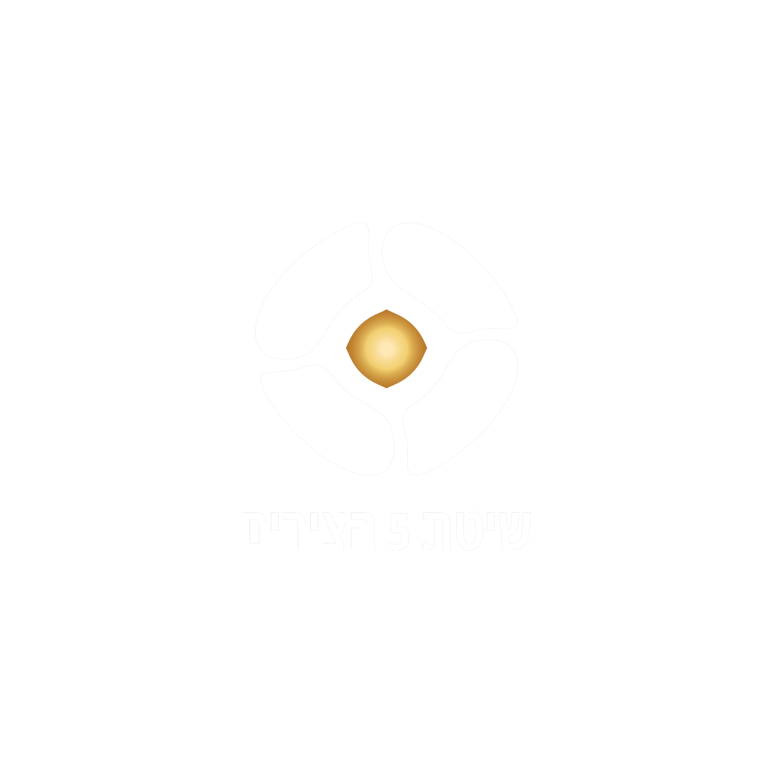 שיטת 5 הצירים